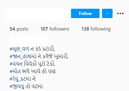 Instagram Bio for Boys in Gujarati