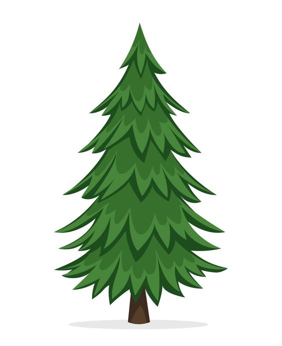 realistic christmas tree drawing 